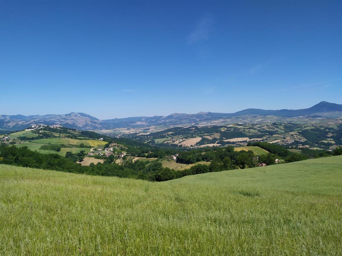 All Inbasilicata Bed & Breakfast Baragiano Exteriér fotografie